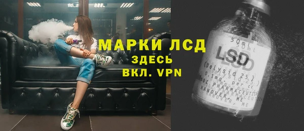 гашик Алексин