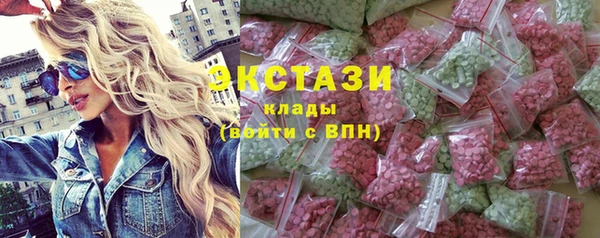 гашик Алексин