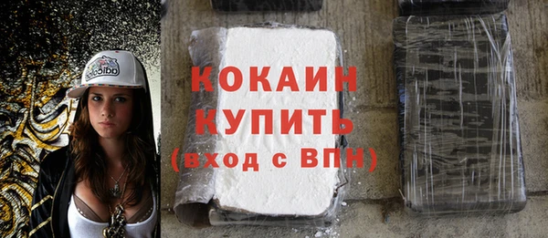 хмурый Нея