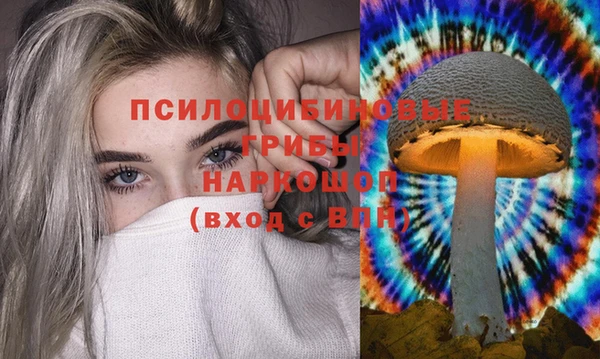 гашик Алексин