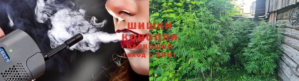 прущие крисы Алзамай