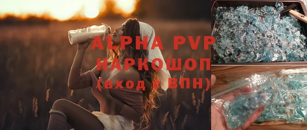 гашик Алексин