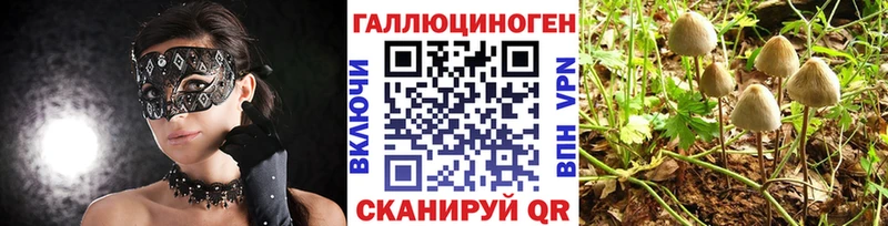 mega рабочий сайт  Собинка  Псилоцибиновые грибы MAGIC MUSHROOMS 